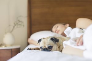 Barn der sover med hunden